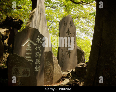 Steinwald von Narita-San-Shinsho-Ji-Tempel Stockfoto