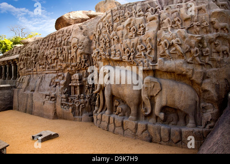 Steinschnitzereien auf dem Gesicht von einem Felsen auf Arjunas Buße, Mahabalipuram, Kanchipuram Bezirk, Tamil Nadu, Indien Stockfoto