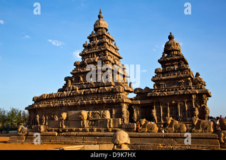 Skulpturen an einem Tempel Shore Tempel, Mahabalipuram, Kanchipuram Bezirk, Tamil Nadu, Indien Stockfoto