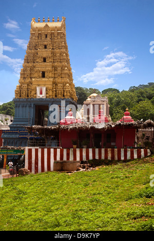 Fassade des einen Tempel, Simhachalam Tempel, Visakhapatnam, Andhra Pradesh, Indien Stockfoto