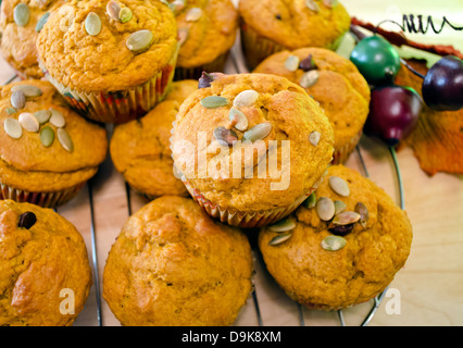 Stapel von leckeren frisch gebackenen Kürbis chocolate Chip Muffins.  Für Herbst oder Thanksgiving dekoriert. Stockfoto
