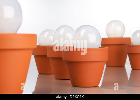 Glühbirnen in Blumentöpfen, Lampen in Blumentopf Stockfoto