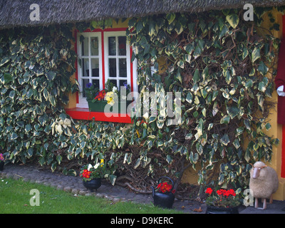 Eine Rebe bedeckte Hütte in Adare, zum schönsten Dorf in Irland Stockfoto