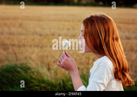 Ein Mädchen mit roten Haaren weht die Samen von einer Löwenzahn Uhr mit einem abgeernteten Weizenfeld im Hintergrund. Stockfoto