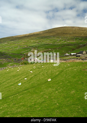 Slea Head Drive auf der Dingle Halbinsel, Irland Stockfoto