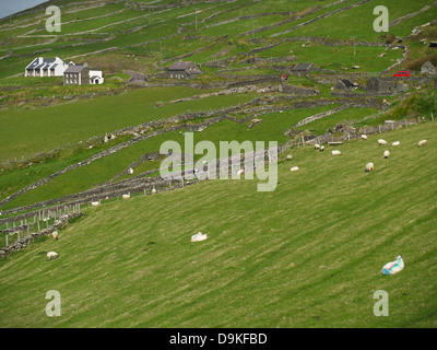 Slea Head Drive, Halbinsel Dingle, Irland Stockfoto