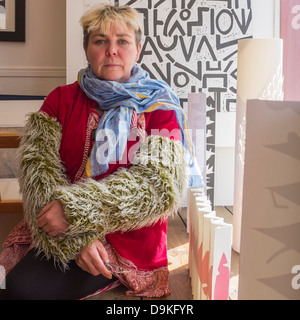 Walisische bildende Künstlerin RUTH JEN EVANS, mit einigen ihrer Arbeit am Oriel y Bont, Aberystwyth Wales UK Stockfoto