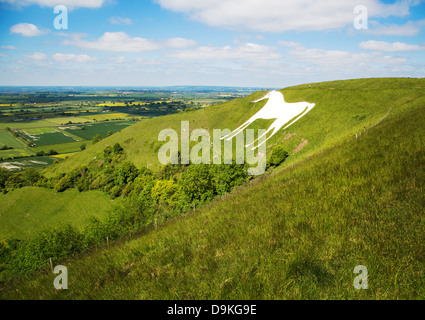 Westbury White Horse und die Erdarbeiten Bratton Camp in Wiltshire Downs in der Nähe von Trowbridge UK Stockfoto