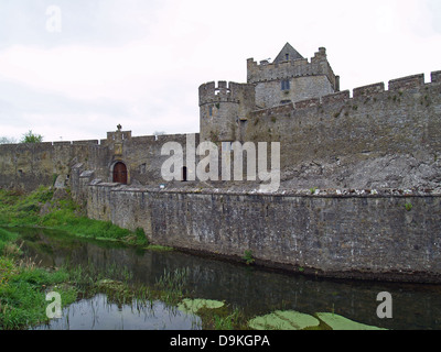 Cahir Castle auf dem Fluss Suir, County Tipperary, Irland Stockfoto