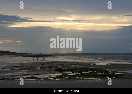 Zwei Menschen, die ein Hund am Strand bei Sonnenuntergang Stockfoto