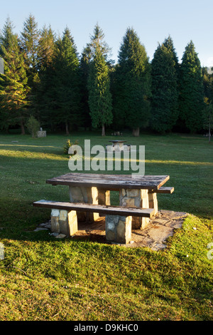 Picknick-Tisch auf Rasen mit schönen Licht Stockfoto
