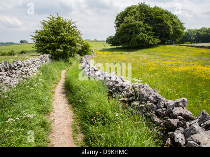 MIlken Lane ist eine Trockenmauern ummauerten grüne Gasse laufen aus Derbyshire Dorf von Monyash, Farn Dale über Lathkill Dale Stockfoto