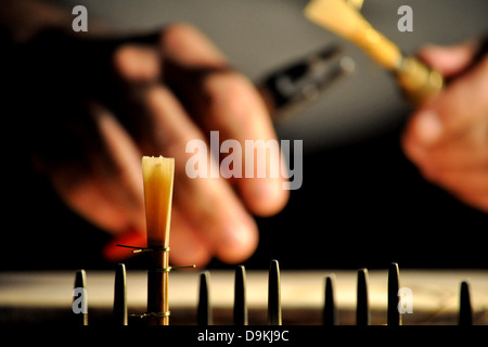 Fagott Schilf am Wäscheständer Stockfoto