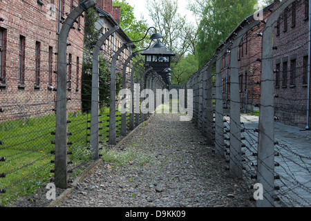Stacheldrahtzaun im staatlichen Museum Auschwitz-Birkenau. Stockfoto