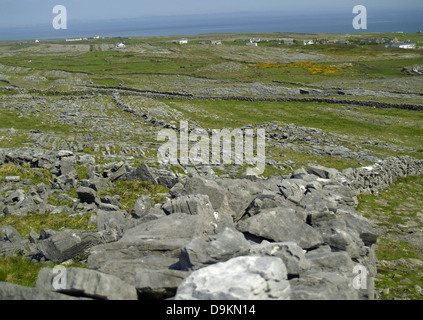 Die Steinmauern Inishmore, Aran Islands, Irland Stockfoto