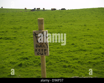 Eine Warnung vor einem gefährlichen Stier an den Klippen von Moher, Irland Stockfoto