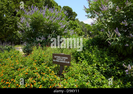 Schmetterlingsgarten im Meer Pinien Wald bewahren, Hilton Head, Südcarolina. Stockfoto