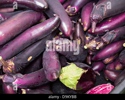 Frisch gepflückt Auberginen (Auberginen) zum Verkauf auf einem Bauernmarkt in Bluffton, South Carolina Stockfoto