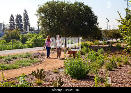 Sunnynook River Park, Los Angeles, USA. 20. Juni 2013. Eröffnung des Sunnynook River Park, Glendale Narrows, Los Angeles River Kredit: Ambient Images Inc./Alamy Live-Nachrichten Stockfoto