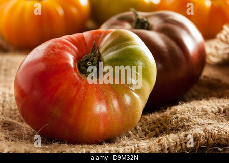 Frische Bio reif Heirloom Tomatoes in einer Vielzahl von Farben Stockfoto