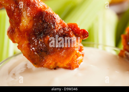 Heiß und Spicey Buffalo Chicken Wings mit Sellerie Stockfoto