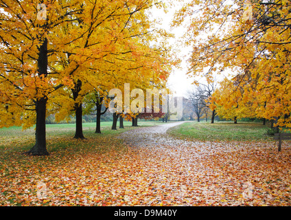 Einer ruhigen Spazierweg durch den Park an einem regnerischen Tag im Herbst, Sharon Woods, südwestlichen Ohio, USA Stockfoto