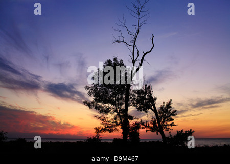 Bäume In der Silhouette gegen einen farbenprächtigen Sonnenuntergang über den Eriesee an der Mündung des Crooked Creek, Dünkirchen New York, USA Stockfoto