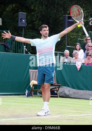 Buckinghamshire, Großbritannien. 21. Juni 2013.  Grigor Dimitrov bei The Boodles Tennis Challenge statt bei Stoke Park, Buckinghamshire, UK - 21. Juni 2013 Foto von Keith Mayhew/Alamy Live News Stockfoto