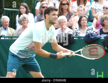 Buckinghamshire, Großbritannien. 21. Juni 2013.  Grigor Dmitrov (Bulgarien) spielt Jerzy Janowicz (Polen) bei The Boodles Tennis Challenge statt bei Stoke Park, Buckinghamshire, UK - 21. Juni 2013 Foto von Keith Mayhew/Alamy Live News Stockfoto