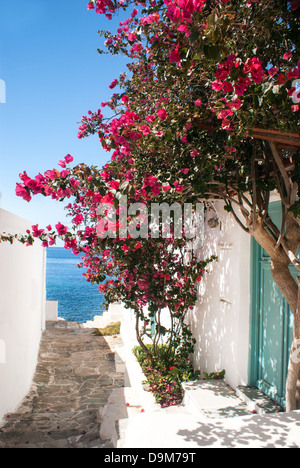 Traditionelle griechische Gasse auf Sifnos Insel, Griechenland Stockfoto