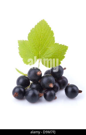 Schwarze Johannisbeere und grünes Blatt auf einem weißen Hintergrund. Stockfoto