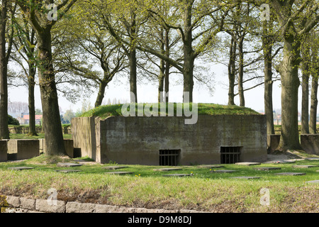 Bunker bei Langemark Deutscher Soldatenfriedhof zum Gedenken an WWI Stockfoto