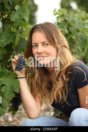 Blonde junge Frau hält eine Traube, Blick in die Kamera im Weinberg Stockfoto