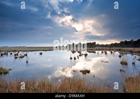 wolkenverhangenen Himmel vor Sonnenuntergang über wilde See, Drenthe, Niederlande Stockfoto