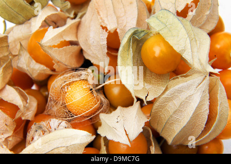 Reife Kap Stachelbeeren (Physalis Peruviana) im Kelch aus der Familie der Nachtschattengewächse Stockfoto