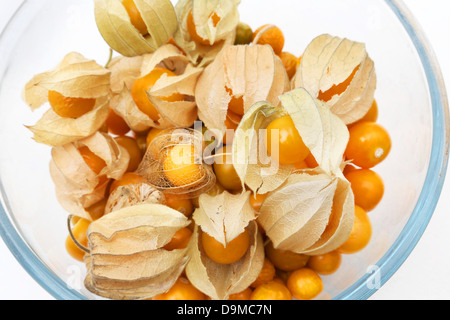 Eine Schüssel mit reif Kap Stachelbeeren (Physalis Peruviana) alles In ihrem Kelch aus der Familie der Nachtschattengewächse Stockfoto