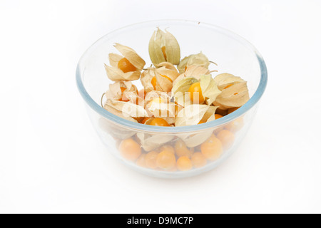 Eine Schüssel mit reif Kap Stachelbeeren (Physalis Peruviana) alles In ihrem Kelch aus der Familie der Nachtschattengewächse Stockfoto