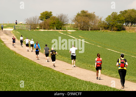 Läufer auf die drei Festungen Herausforderung auf dem Weg zur Chanctonbury Ring in West Sussex. Stockfoto