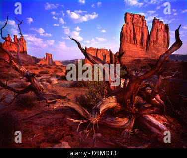 Die drei Schwätzer, Sheep Rock, der Turm von Babel und The Organ entlang der Parkstraße im Arches National Park in der Nähe von Moab, Utah Stockfoto