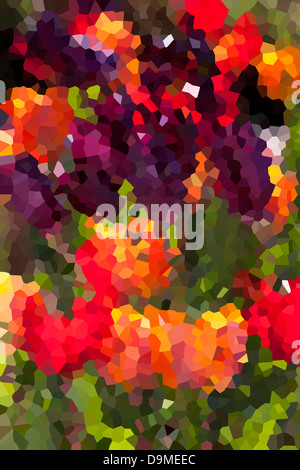 Tulpen in Nahaufnahme in einen Todwick Garten Stockfoto