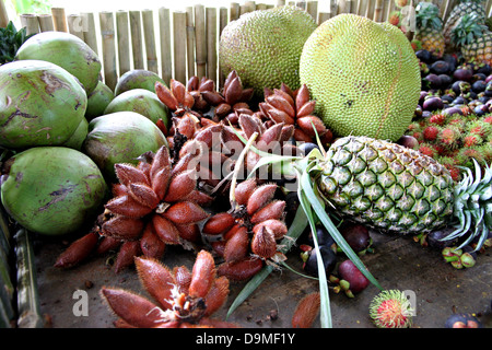 Die vielen Obst auf dem Tisch und Früchte Inland in Thailand. Stockfoto