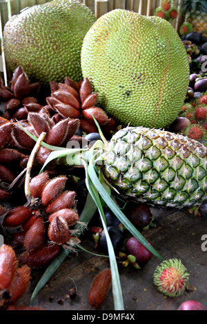 Die vielen Obst auf dem Tisch und Früchte Inland in Thailand. Stockfoto