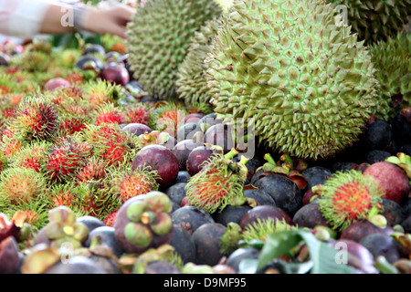 Die vielen Obst auf dem Tisch und Früchte Inland in Thailand. Stockfoto