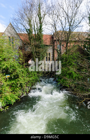 Die Mühle in Salisbury eine Grüne König Public House und Restaurant Stockfoto