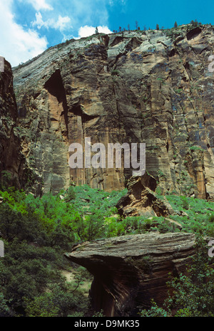 Gefallenen Felsen entlang des Weges zum oberen Emerald Pool, Zion, UT 880620 017 Stockfoto