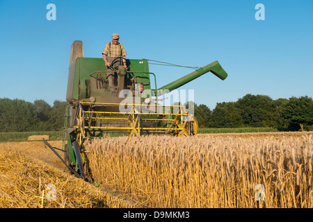 Ernte Ernte Zeit Korn Getreide Ernte Handarbeit Jojn Deere von 1969 Landwirtschschaft kombinieren Harvester Nostalgie Sommer Stockfoto