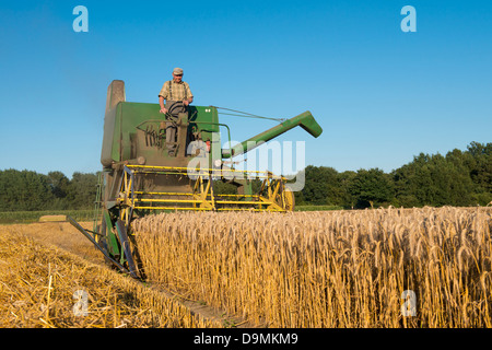 M? Hdr? Scher mit Getreideernte Ernte Ernte Zeit Korn Getreide Ernte Handarbeit Jojn Deere aus 1969 Landwirtschschaft com Stockfoto