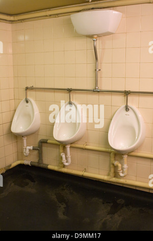 Urinale in ein Gentleman-Toilette Stockfoto