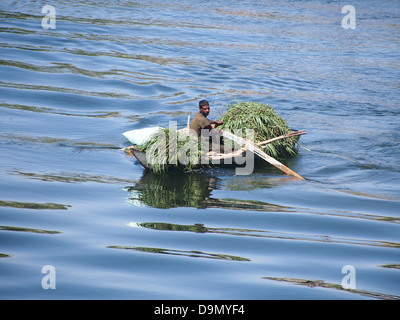 Ein Mann in einem Ruderboot, beladen mit Schilf am Fluss Nil, Ägypten Stockfoto