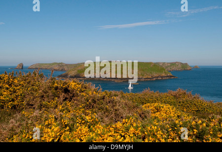 Anzeigen von Skomer Island, Pembrokeshire, Wales, UK von Deer Park, über Jack Sound wie ein Segelboot durch segelt Stockfoto